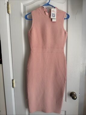 Vine & Love Blush Pink Sleeveless Midi Sheath Dress